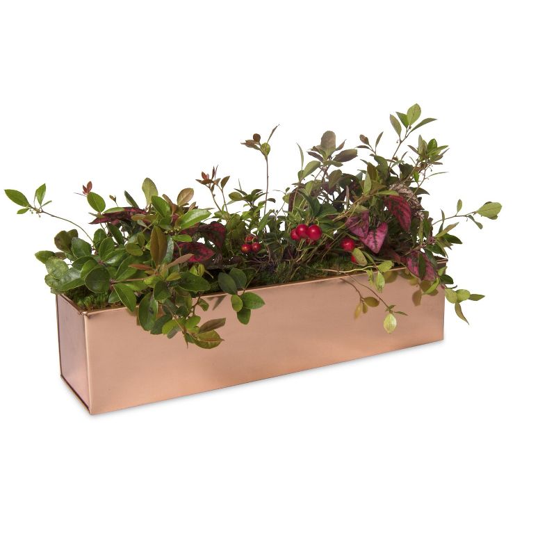 Gardener's Supply Company Rectangular Copper-Coated Stainless Steel Plant Tray | Leakproof Protects Surfaces Indoor Outdoor Plant Flower Succulent, 2 of 6