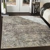 Hauteloom Riverhead Area Rug - 2 of 4