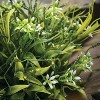 Sullivans Artificial Smilax Orb 5.5"H Green - 2 of 4