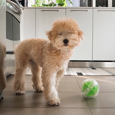 Green Transparent Interactive Dog Treat Puzzle Ball