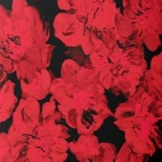 vivid red painterly bloom