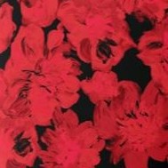vivid red painterly bloom