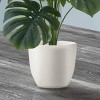 TopComfy Artificial Trees 24in Tall Artificial Monstera Small Fake Monstera Tree Table Decor Potted Monstera Tree for Office, Green, 20"*20"*23.5" - 4 of 4