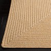 Braided BRD315 Hand Woven Area Rug  - Safavieh - 3 of 4