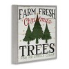 Stupell Industries Farm Fresh Christmas Trees, 24" x 24" - 3 of 4