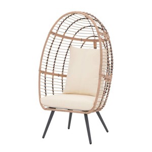 Sunsitt Steel Wicker Outdoor/Indoor Egg Chair - 1 of 4