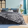 Bedsure- Cloud Soft PV Blanket ,Comfy Plush and Furry Faux Fur - 2 of 4