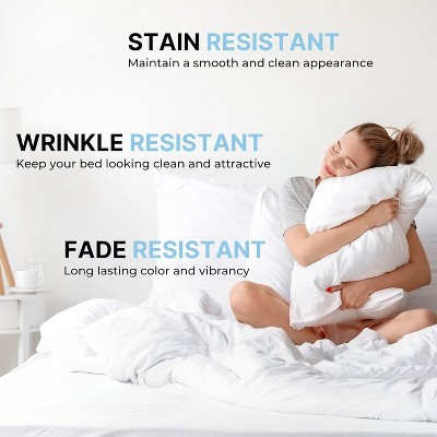 Sage Green Hypoallergenic Embroidered Queen Pillowcase Set
