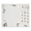 Warner Brothers Looney Tunes Best Buds White with Pastel Blue, Pink, and Yellow Milestone Blanket - 2 of 4