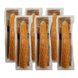 Free Day Popping Ear Non-GMO Yellow Un-Popped Popcorn - Pack of 6 - Popcorn on the Cob - 1 of 4