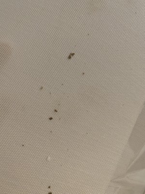 Guest review image 1 of 5, zoom in