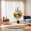 Gulches Artificial Plants - 36" Orange Camellia Tree Set (2-Pack) with Decorative Pot - 4 of 4