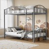 Bunk Bed Twin Over Twin with Ladder and Arched Guardrail, Heavy Duty Bunkbeds Frame with Sturdy Steel Slats Support - 4 of 4