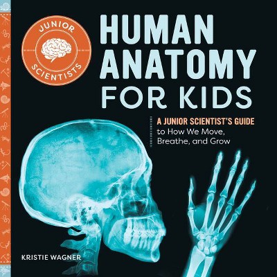 Human Anatomy for Kids - (Junior Scientists) by  Kristie Wagner (Paperback)