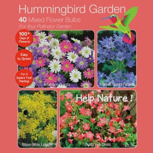 National Plant Network Live Outdoor Hummingbird Garden Assorted Bulbs - 40ct - 1 of 4