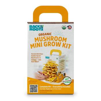 Back to the Roots Organic Mushroom Mini Grow Kit Golden Oyster
