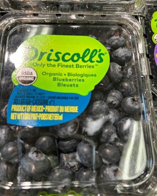Organic Blueberries - 1pt : Target