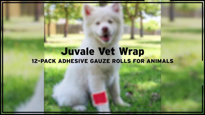 Juvale 12 Pack Self Adhesive Bandage Wrap Rolls, Adherent Cohesive Bandage for, Sports, Stretch Vet Wrap for Animals, 2 Inch x 6 Yards, 6 Colors, 2 of 11, play video