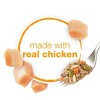 Purina Beneful Prepared Meals Chopped Blends Wet Dog Food - 10oz - 4 of 4
