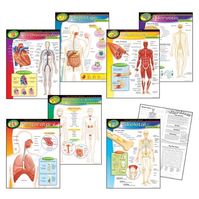Human Body Poster Trend Enterprises The Human Body Learning Charts ...