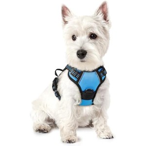 rabbitgoo Dog Harness No Pull with 2 Leash Clips, Control Handle for Puppy, Blue, XS - 1 of 1