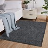 Acekool Shaggy Plush Area Rugs - 2 of 4