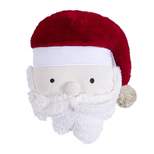 Merry & Bright Holly Jolly Santa Pillow - by Levtex Home