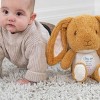 Guess How Much I Love You Nutbrown Hare Cuteeze 12 Inch Collectible Stuffed Animal Plush Toy - 4 of 4
