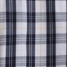 white navy plaid