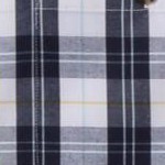 white navy plaid