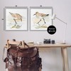 Stupell Industries Sea Birds on Shore, 24" x 24" - 3 of 4