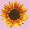 Girl's Design By Humans Sunflower By Maryedenoa T-Shirt - 2 of 3