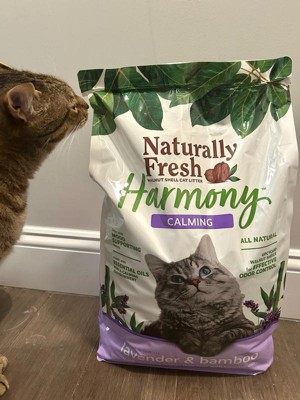 Guest review image 3 of 3, zoom in