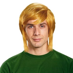 Disguise Legend of Zelda Link Adult Wig Costume Accessory - 1 of 4