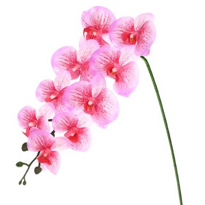 Unique Bargains Artificial Orchid Flowers Nine-headed Large Faux Phalaenopsis Silk Bouquets Real Touch 37 Inch - 1 of 4