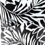 black white palms