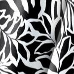black white palms