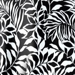 black white palms