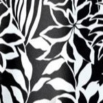 black white palms