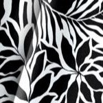 black white palms