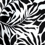 black white palms