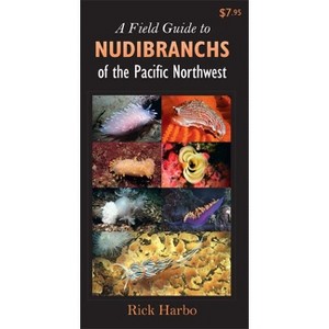 A Field Guide to Nudibranchs of the Pacific Northwest - (Field Guide To... (Harbour Publishing)) by  Rick M Harbo (Paperback) - 1 of 1