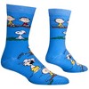 Cool Socks, Charlie & The Outdoors, Funny Novelty Socks, Large - 3 of 4