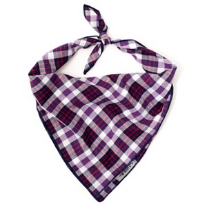 The Worthy Dog Navy/Red/White Madras Plaid Square Bandana - 1 of 3