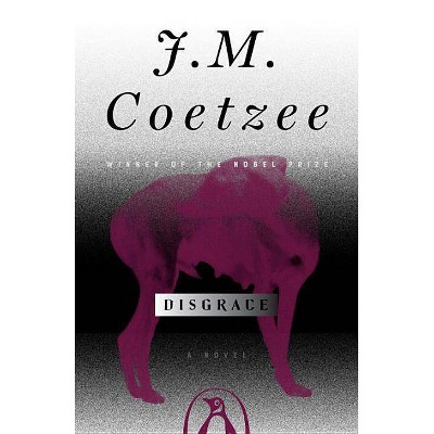 Disgrace - by  J M Coetzee (Paperback)