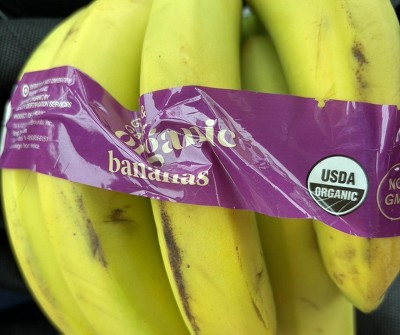 Guest review image 2 of 2, zoom in