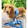 PoisePup – Luxury Pet Dog Harness – Soft Premium Italian Leather w/Crystal Harness for Small and Medium Dogs - Ocean Vibes - 3 of 3