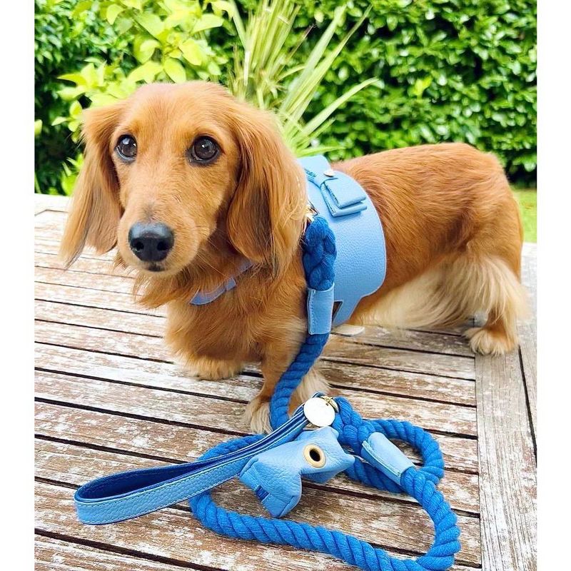 PoisePup – Luxury Pet Dog Harness – Soft Premium Italian Leather w/Crystal Harness for Small and Medium Dogs - Ocean Vibes, 3 of 4