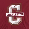 College of Charleston Official Distressed Primary Logo Adult Pull-Over Hoodie - 2 of 4