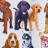 Collections Etc I Ruff You All-Over Dog Graphics Lounge Pants - 4 of 4